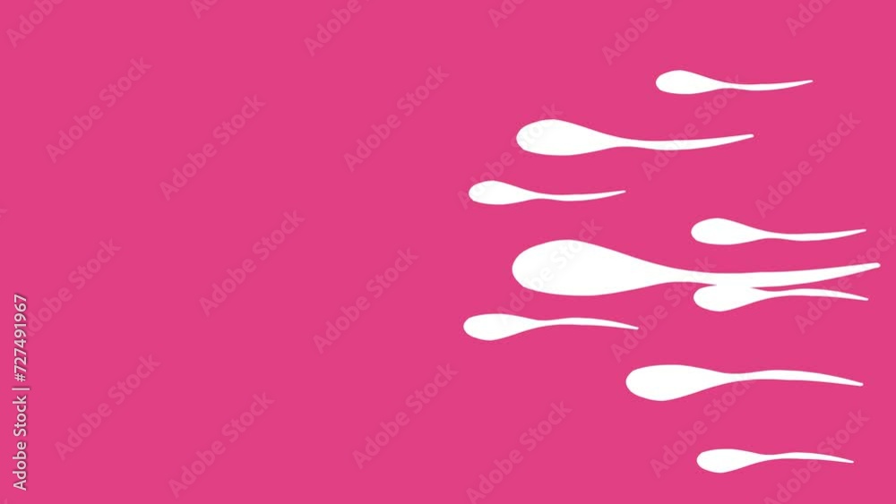 Movement of sperm cells to compete for egg cells in the fertilization process. To carry out human mating. Pre-fertilization model between egg and sperm cells