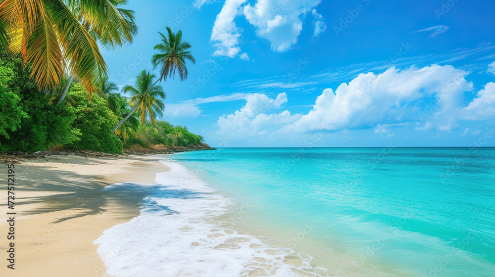 tropical beach with palm trees	

