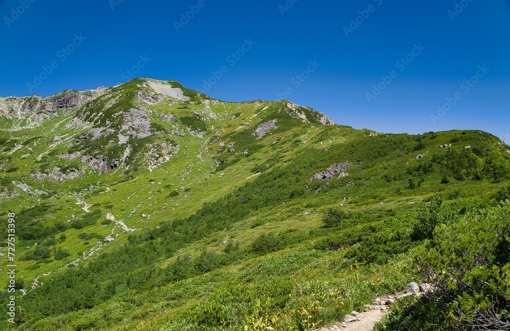 夏の北アルプス 夏の北アルプス