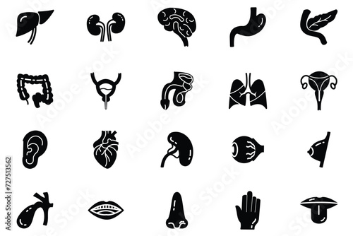 Anatomy black icon set. Containing eye, nose, mouth, ear, brain, head, hand, stomach, heart, kidneys, liver, lungs and more. Human body part and organs vector icons collection. © Ikitah
