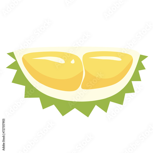Durian fruit Illustration 