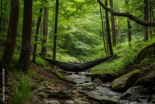 A serene hammock awaits amidst the whispering forest, cradled by the gentle murmur of a meandering brook.
