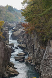 日本　岩手県一関市を流れる磐井川の渓谷、厳美渓と紅葉した木々