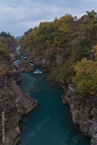 日本 岩手県一関市を流れる磐井川の渓谷、厳美渓と紅葉した木々