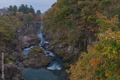 日本 岩手県一関市を流れる磐井川の渓谷、厳美渓と紅葉した木々