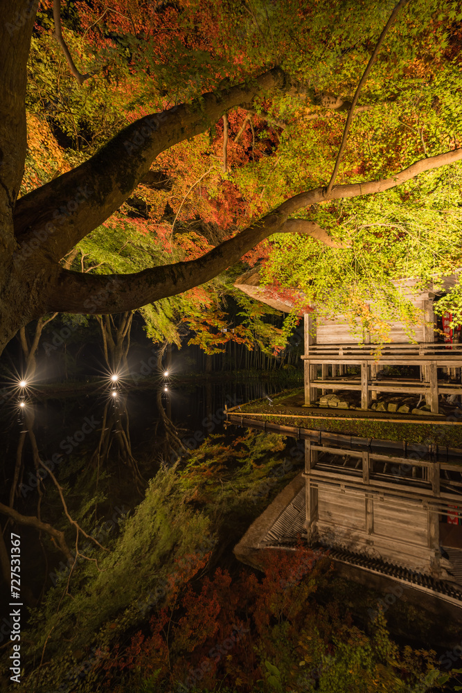 日本　岩手県西磐井郡平泉町にある中尊寺のライトアップされた弁財天堂と池に反射した紅葉