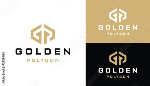 Golden Initial Letter GP P G PG Monogram with Simple Hexagon Line Art Logo Design photo