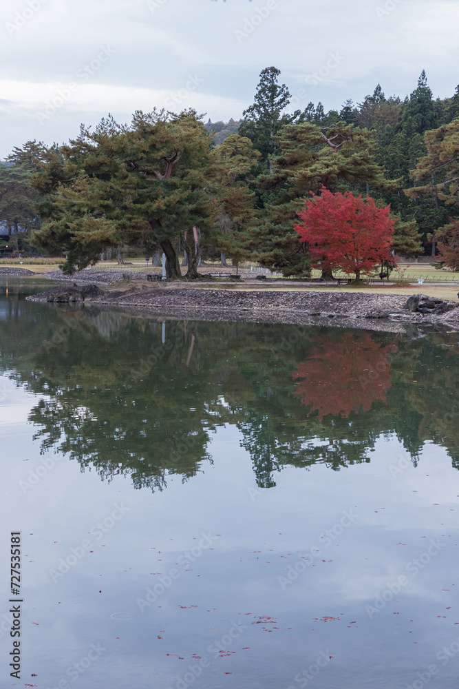 Fototapeta premium 日本 岩手県西磐井郡平泉町にある毛越寺庭園の浄土庭園と紅葉