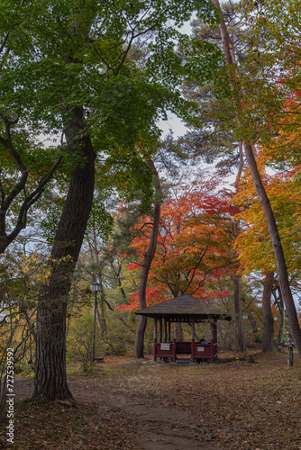 日本　岩手県一関市を流れる磐井川の渓谷、厳美渓の紅葉 photo