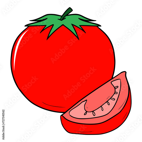 fresh tomato illustration isolated vector