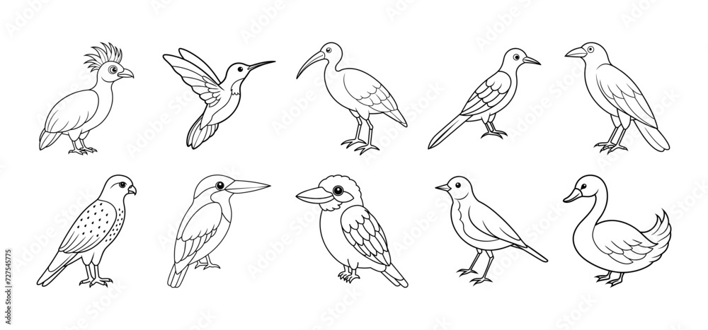 Collection of bird silhouette elements