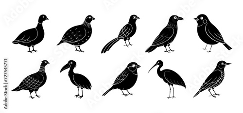 Collection of bird silhouette elements
