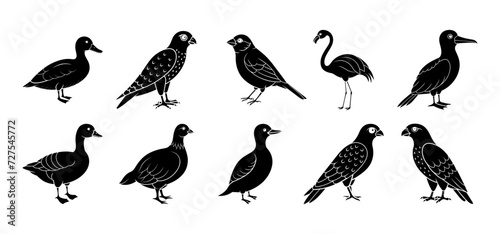 Collection of bird silhouette elements