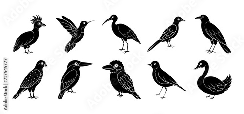 Collection of bird silhouette elements photo