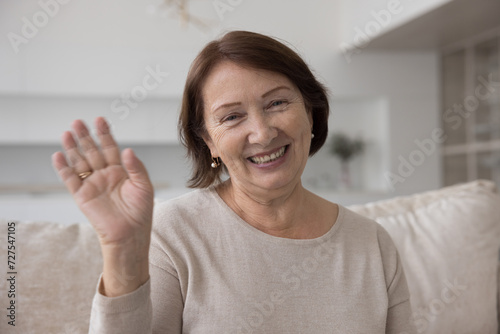 Positive mature older woman smiling at camera, waving hand hello, speaking on video conference call, enjoying online Internet communication, virtual chat. Senior blogger head shot portrait