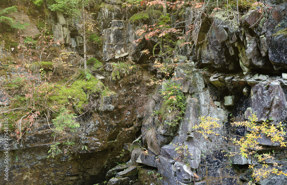 A fragment of a rocky mountain. Textured rocks of the Rocky Mountains. A rock overgrown with green vegetation. The texture of a stone mountain A fragment of a rocky mountain. Textured rocks of the Rocky Mountains. A rock overgrown with green vegetation. The texture of a stone mountain