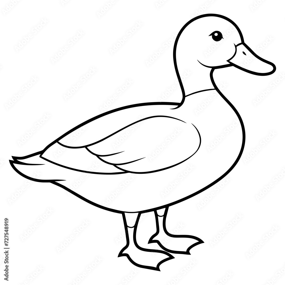 mallard mallard