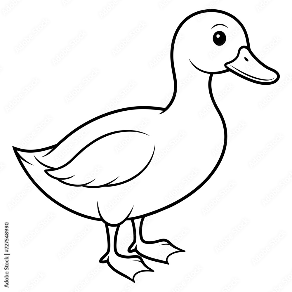 duck duck