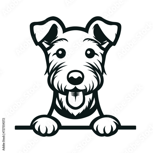   Fox Terrier dog peeking face illustration vector
 