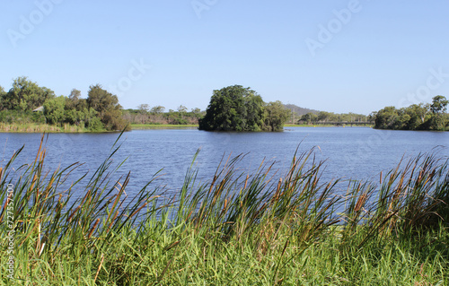 View of Lake Callemondah with water, an island and reeds in Gladstone, Queensland, Australia