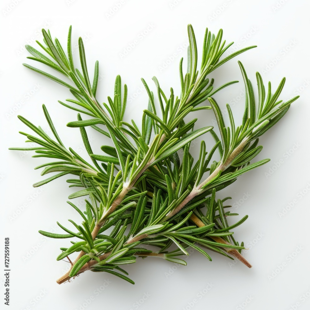 Fototapeta premium White background decorated with rosemary branches This image captures the simplicity and elegance of herbs. It reveals intricate foliage against a clean, neutral backdrop.