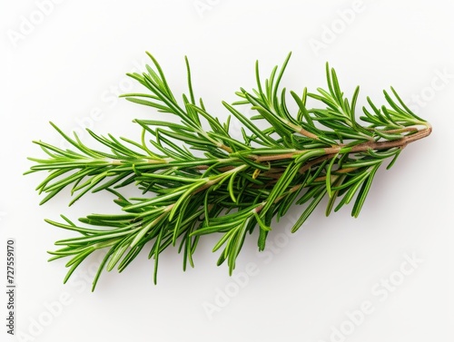 White background decorated with rosemary branches This image captures the simplicity and elegance of herbs. It reveals intricate foliage against a clean, neutral backdrop.