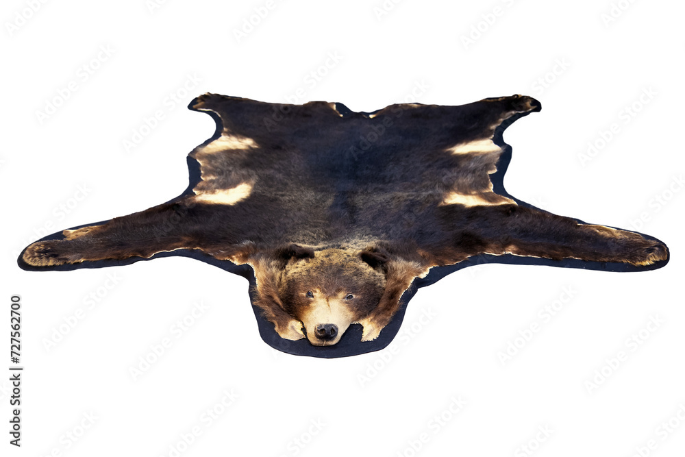 Ταπετσαρία Vintage brown bear rug isolated png for home deco