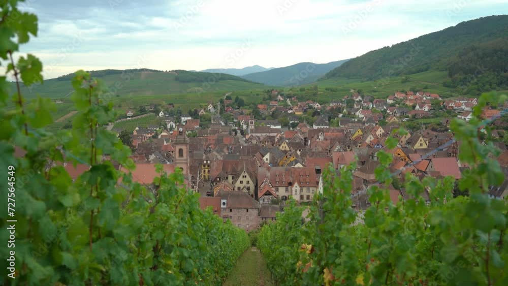 Riquewihr Medieval Town is Surrounded by Vineyards and Mountains Riquewihr Medieval Town is Surrounded by Vineyards and Mountains