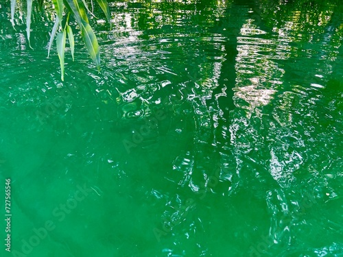 Green Water Background