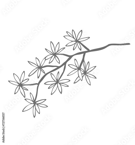 Botanical flower leaves line art illustration line art 