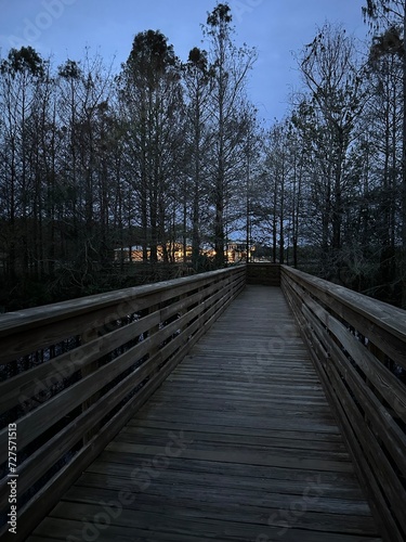 wooden bridge in the forest © Jaimie Tuchman