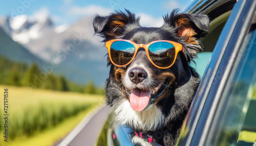 Funny portrait of dog in sunglasses on the road. Travel concept © Mariusz Blach