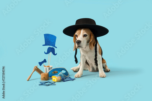 Cute Beagle dog in Jewish hat with decor for Purim holiday on blue background photo