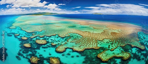 Great Barrier Reef underwater photographers and ocean lovers delight in vibrant sea life.