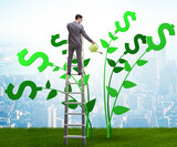 Money tree concept with businessman watering