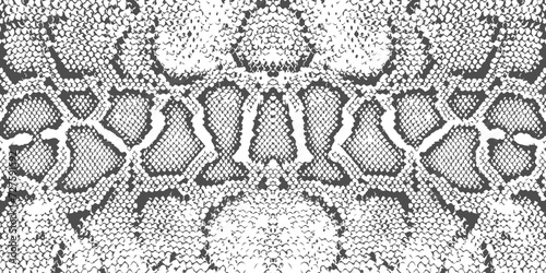 skin snake texture pattern boa black white print