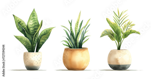 Watercolor Illustrations of Popular House Plants in Pots  Set of Deciduous Indoor Plants  Isolated on Transparent Background