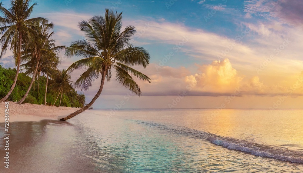 trees on the beach, Paradise beach with palm trees and calm ocean at dawn or sunset. Panoramic banner of a peaceful landscape