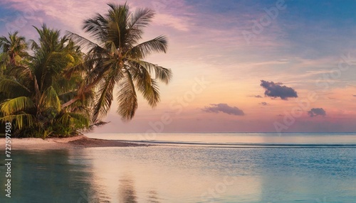 Paradise beach with palm trees and calm ocean at dawn or sunset. Panoramic banner of a peaceful landscape © Bilal