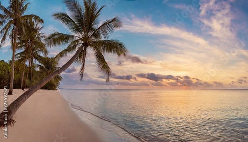 trees on the beach  Paradise beach with palm trees and calm ocean at dawn or sunset. Panoramic banner of a peaceful landscape