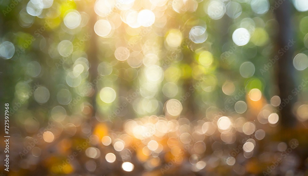 Early morning, sunny forest bokeh background.