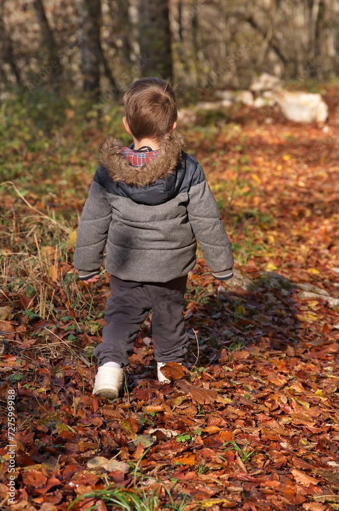 Rear view of little toddler walking in the autumn forest Rear view of little toddler walking in the autumn forest