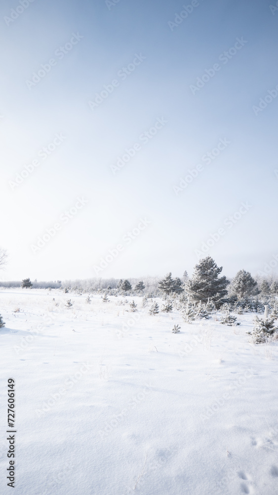 Fototapeta premium snow on the river
