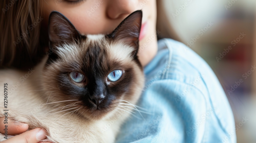 Close-up of a Siamese cat with striking blue eyes