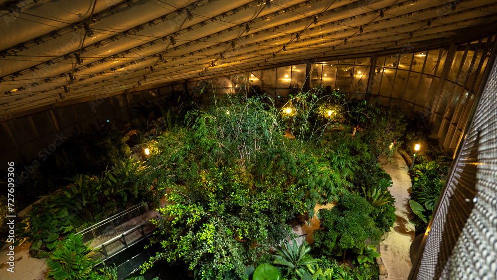 plants plants