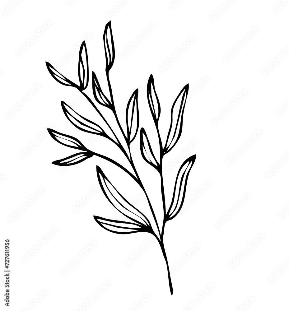 Floral leaves line art vector illustration, flower line art illustration