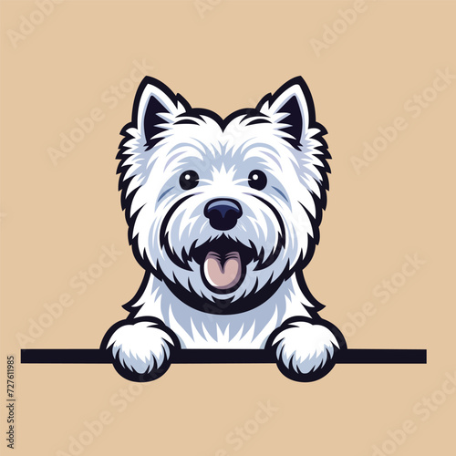West Highland White Terrier peeking face illustration vector
 