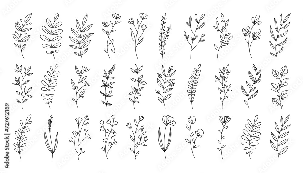 Hand drawn flower doodles. Hand drawn sketch of spring flower plant. Vector simple flower. - obrazy, fototapety, plakaty 