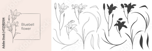 sketch of blue bell flower, floral element for design in linear style