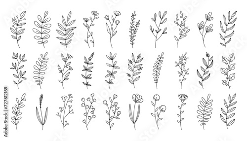 Hand drawn flower doodles. Hand drawn sketch of spring flower plant. Vector simple flower. photo